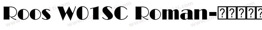 Roos W01SC Roman字体转换
